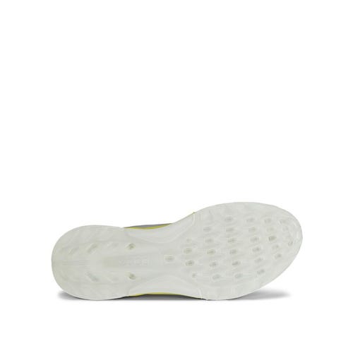 BIOM C4