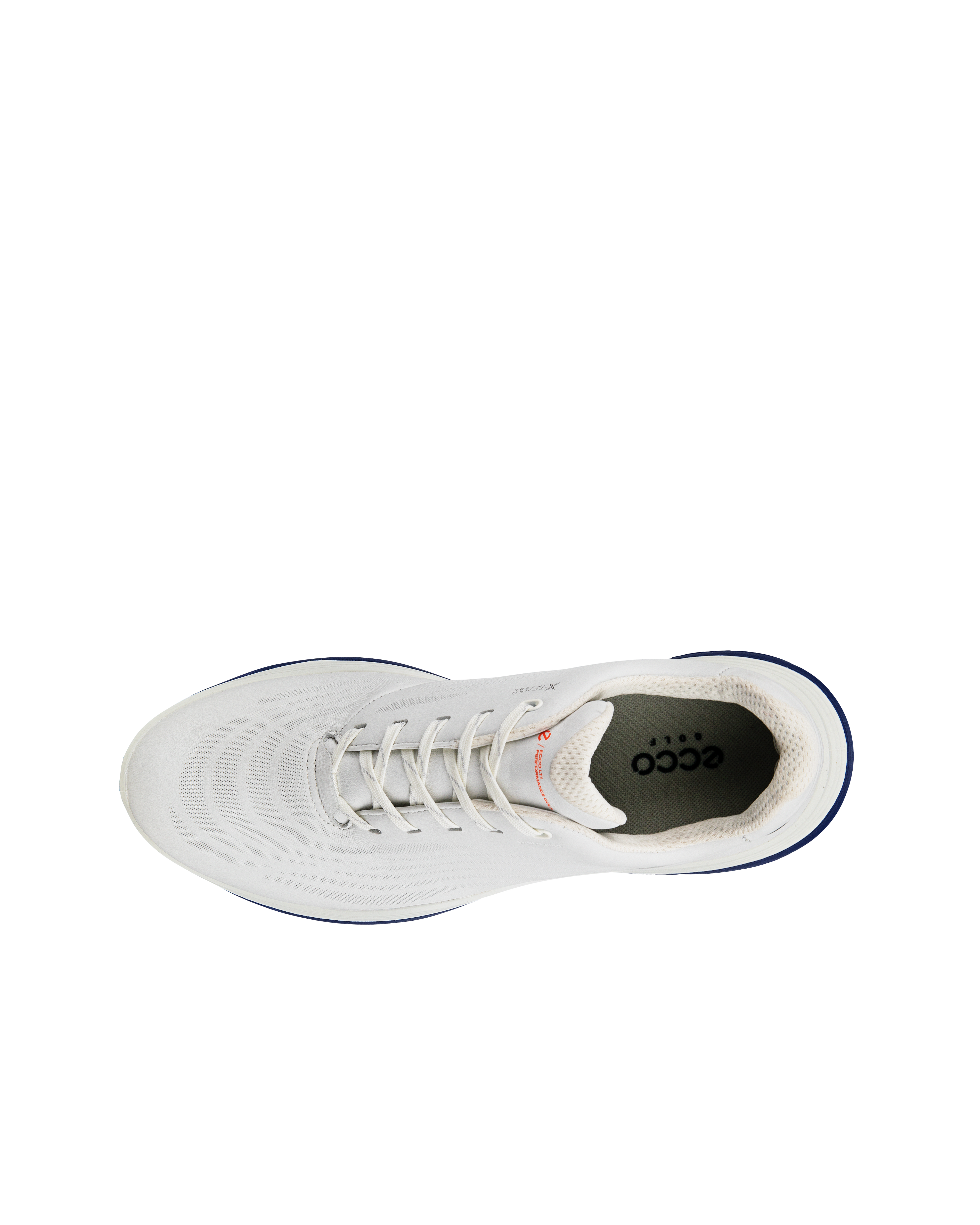 Lt1