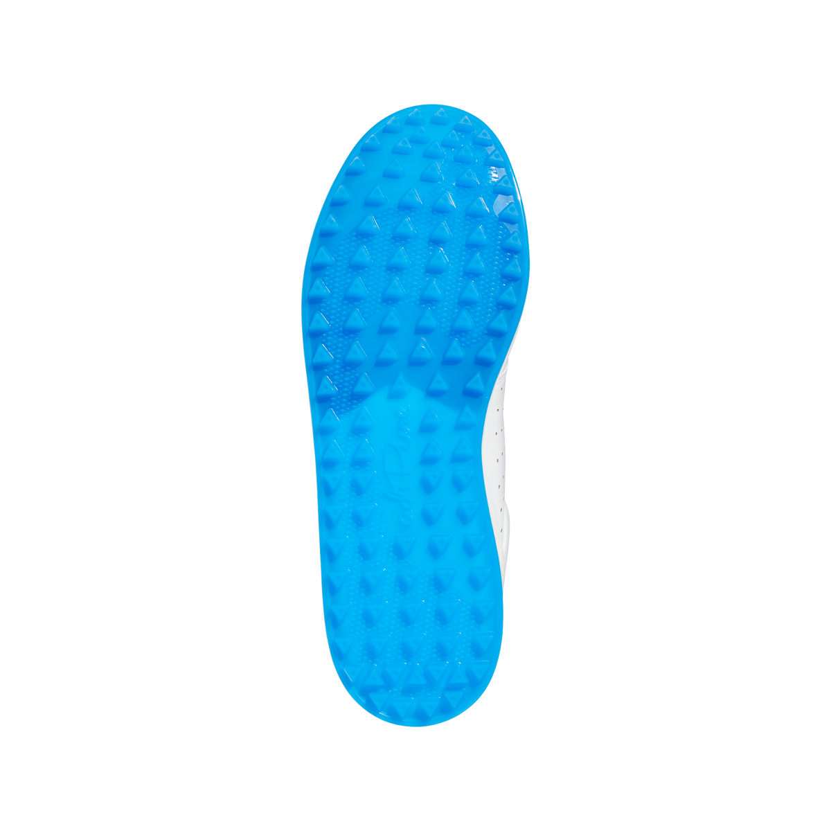 FLOPSHOT