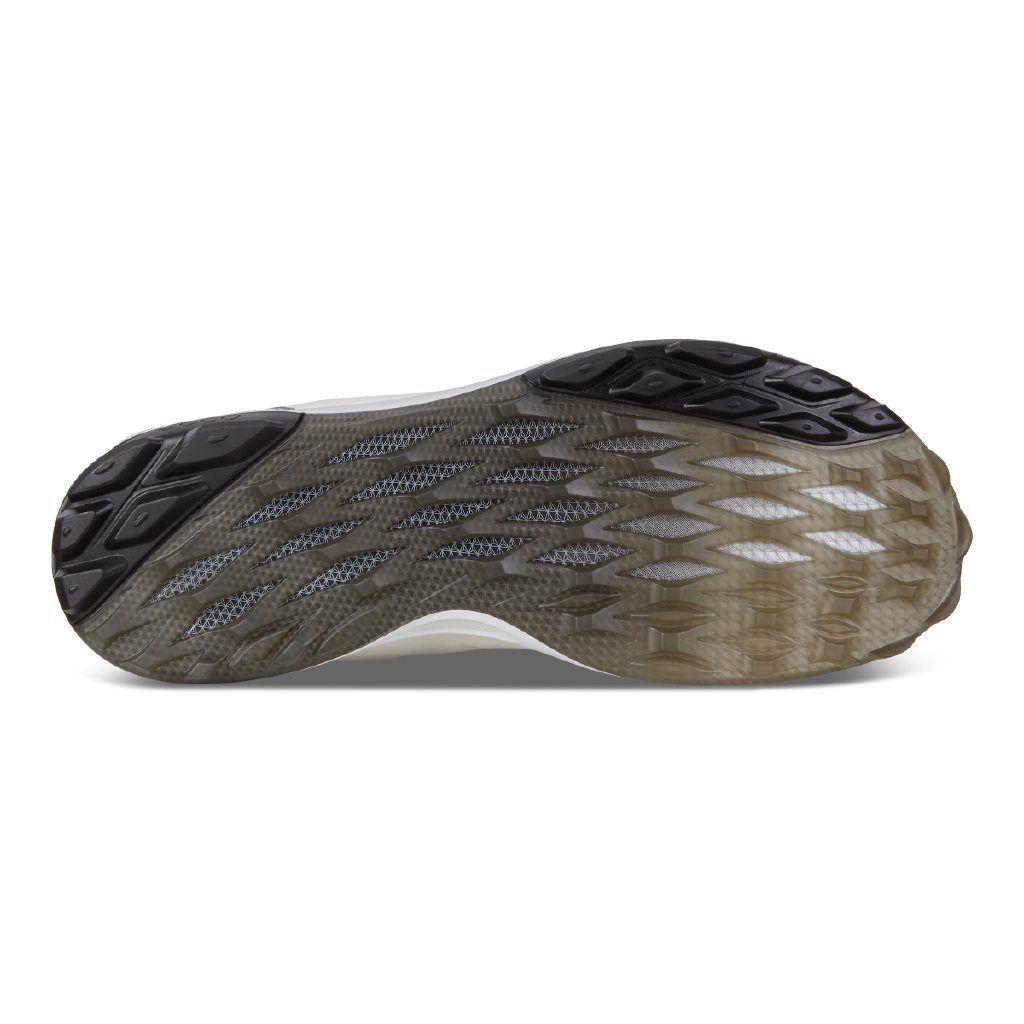 BIOM H3
