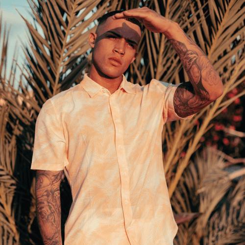 Cantaloupe Palms Island Time Collection/