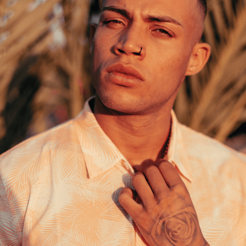 Cantaloupe Palms Island Time Collection/