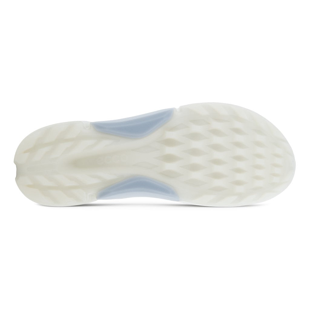 BIOM H4