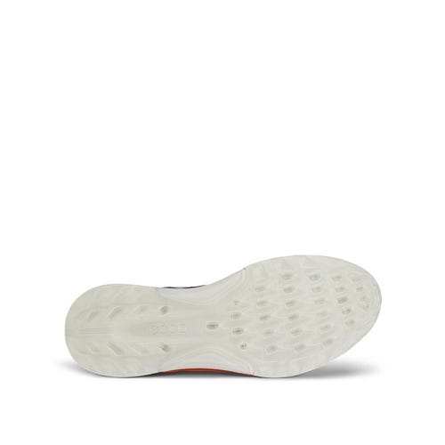 BIOM C4 Hybrid