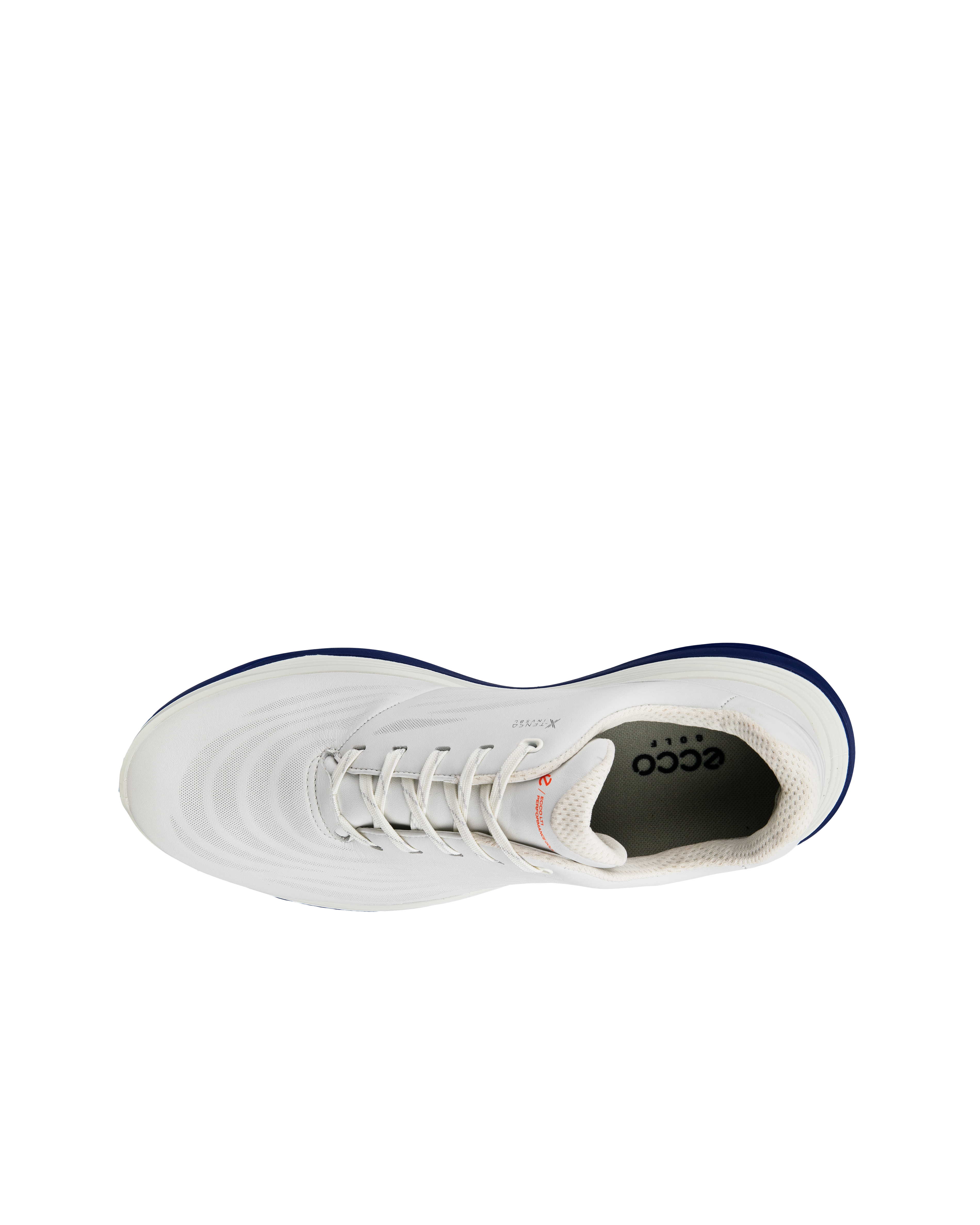 Lt1