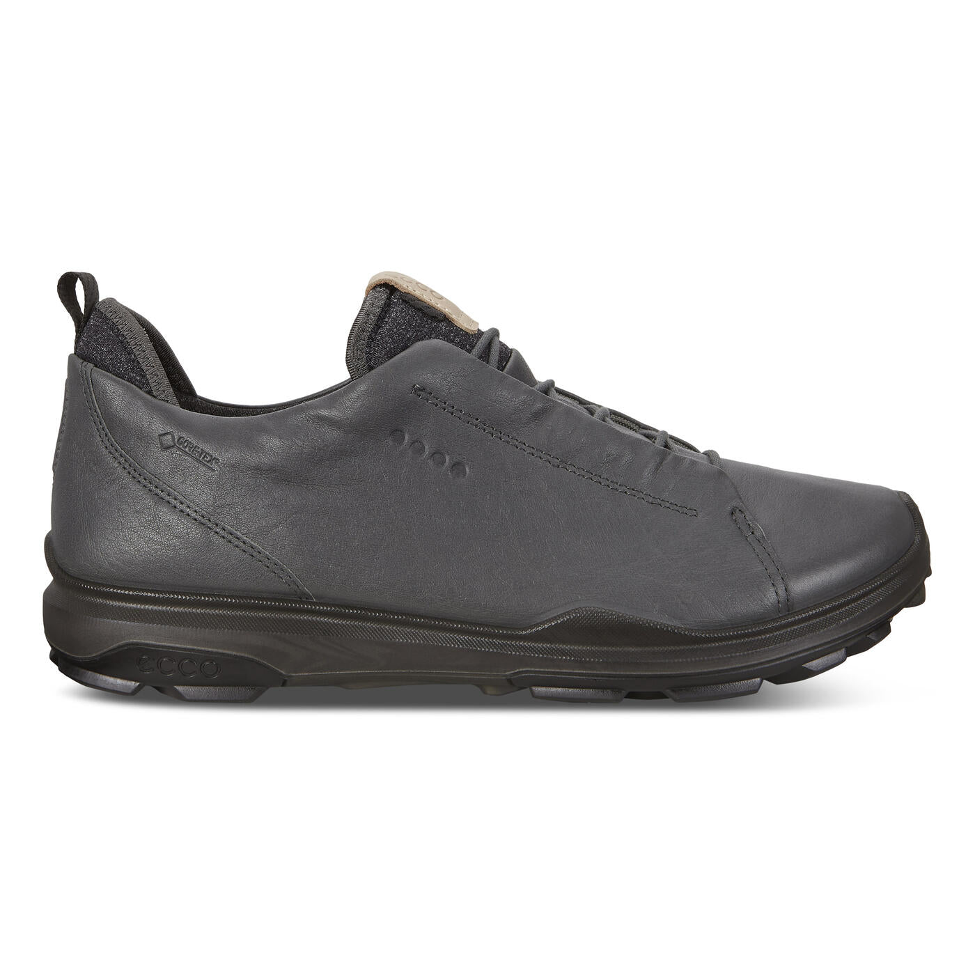 BIOM H3