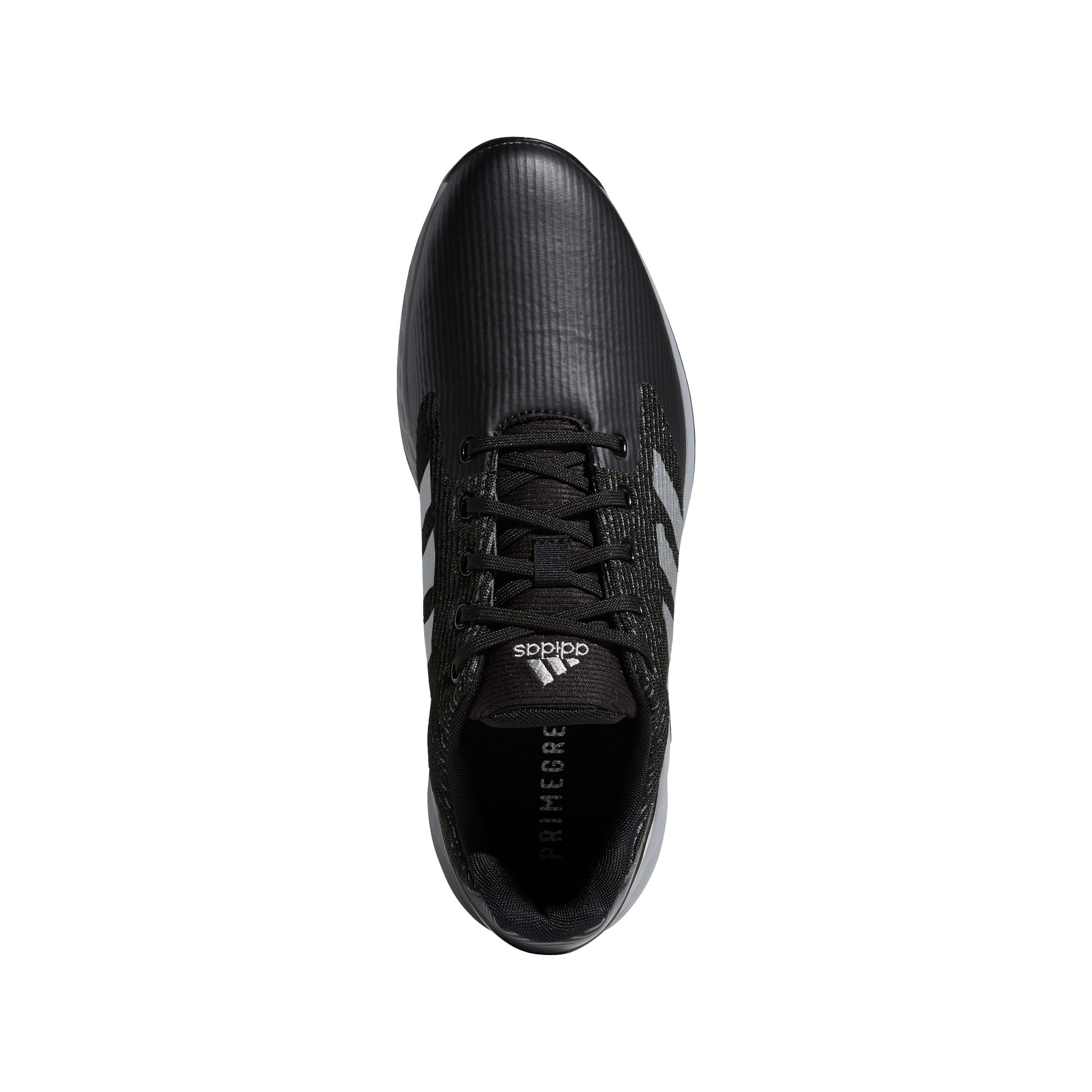 ZG21 MOTION