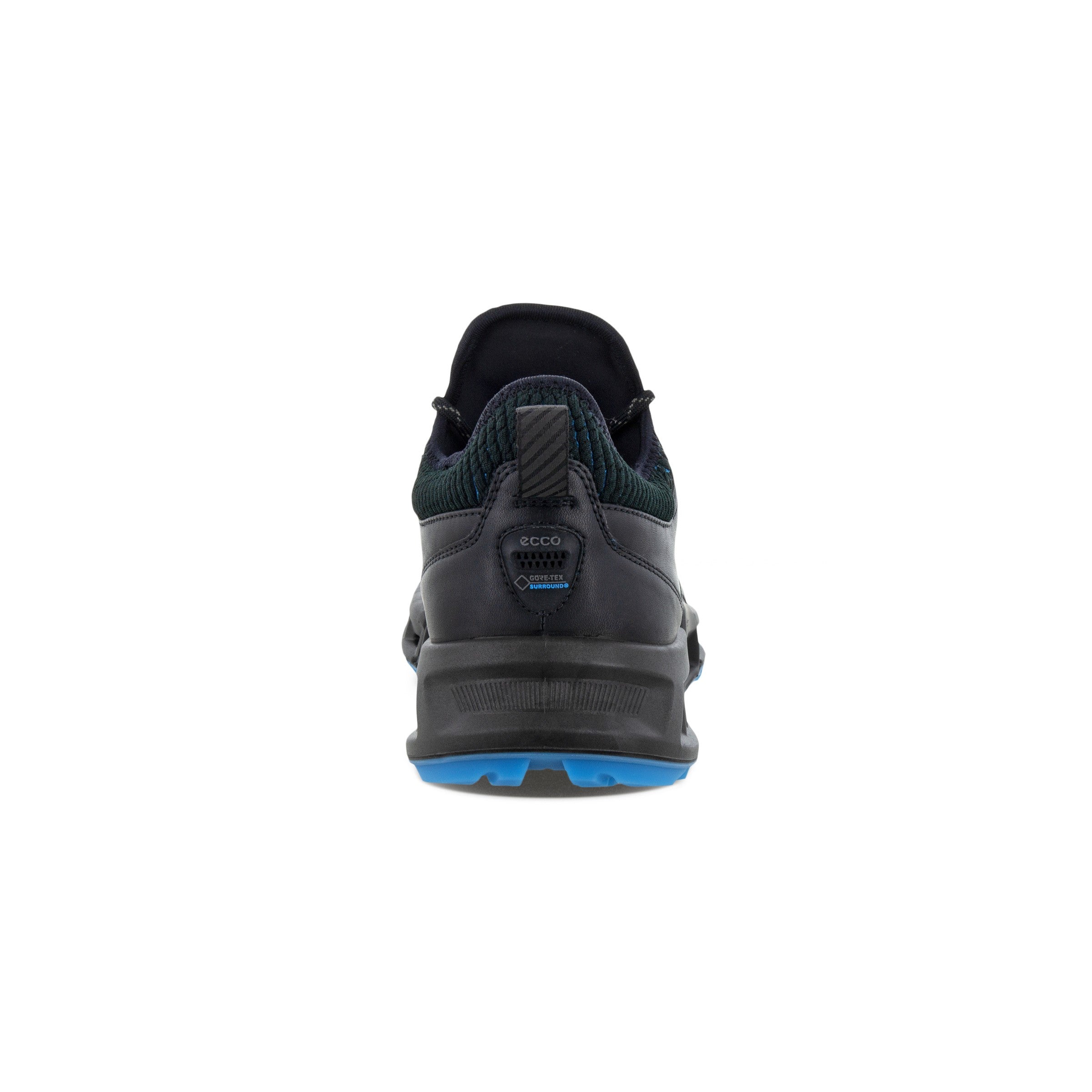 BIOM C4