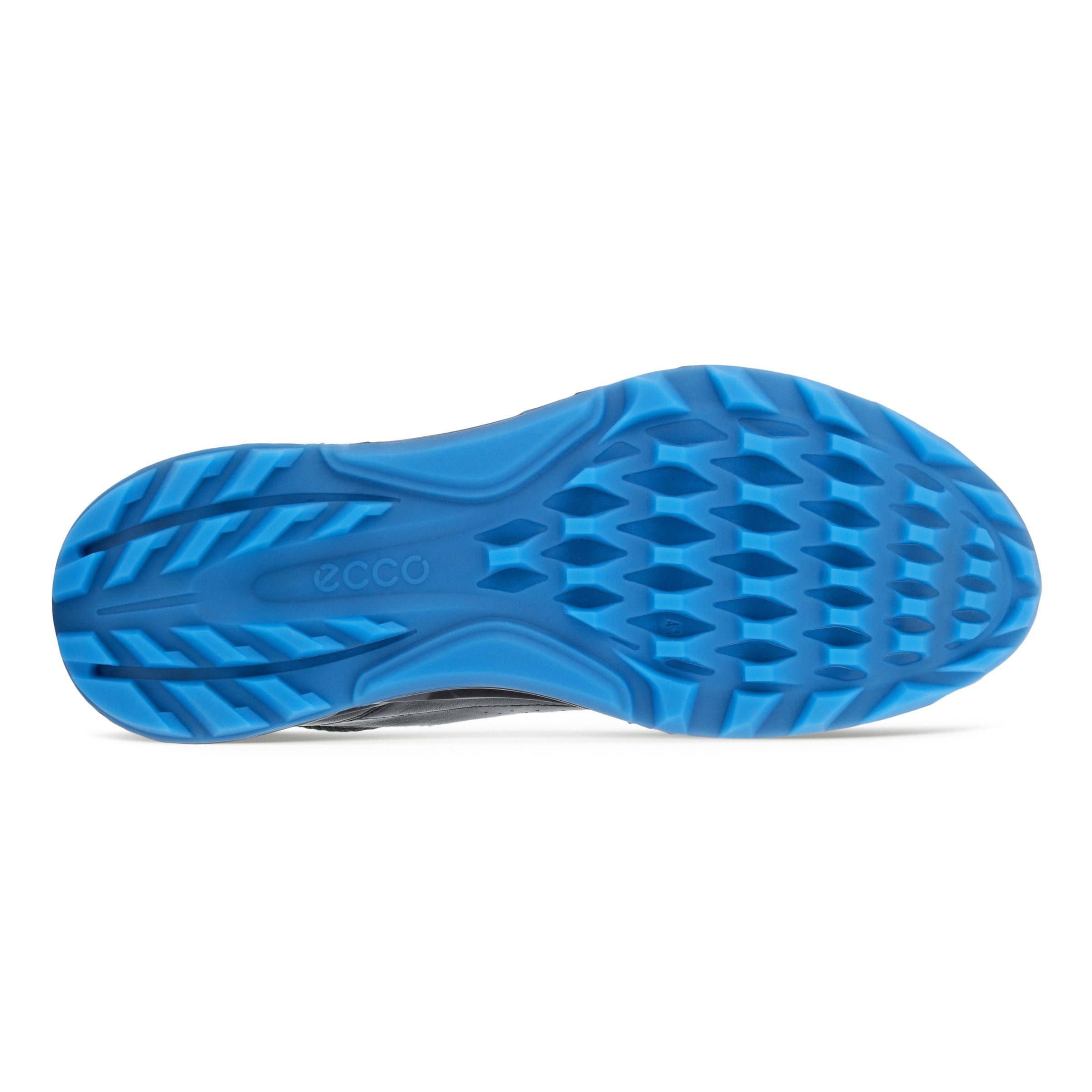 BIOM C4